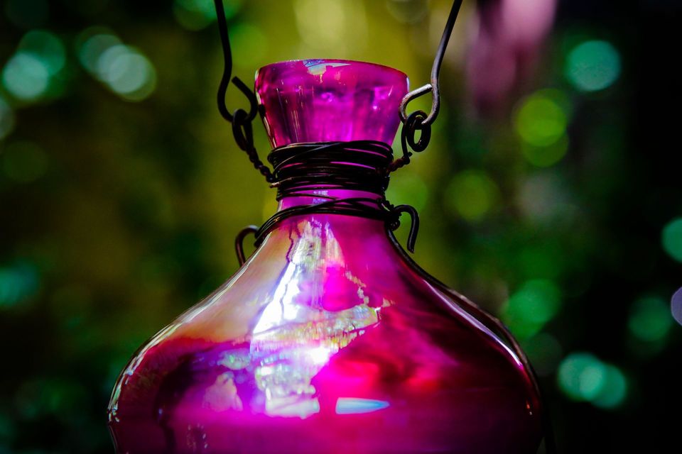 Salvem seus Convidados!!!