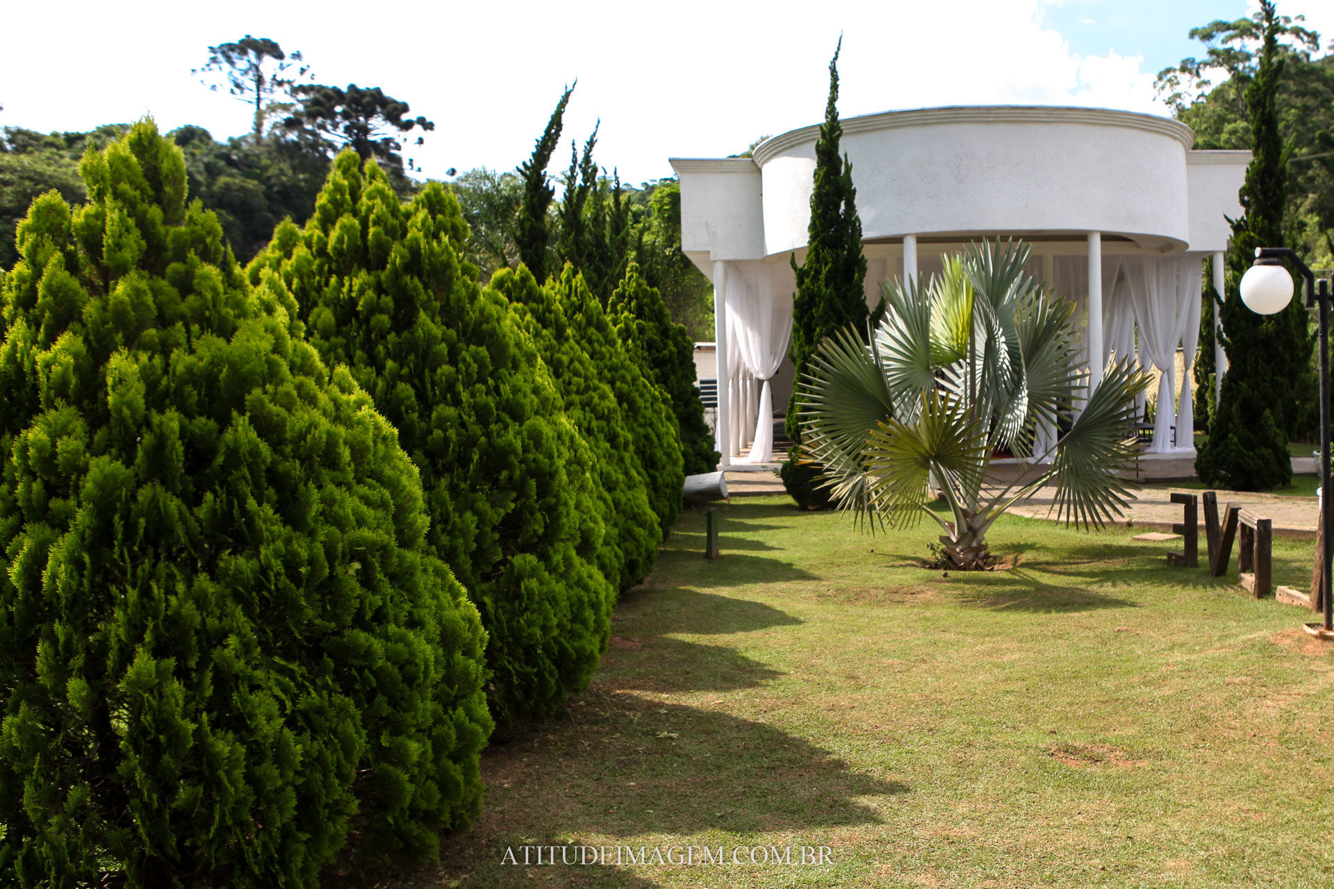 Foto Casamento no Campo Foto Casamento no Campo - Imagem 133