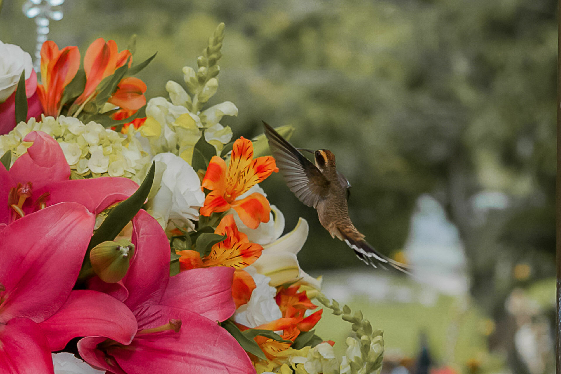 Foto Casamento no Campo - Imagem 63