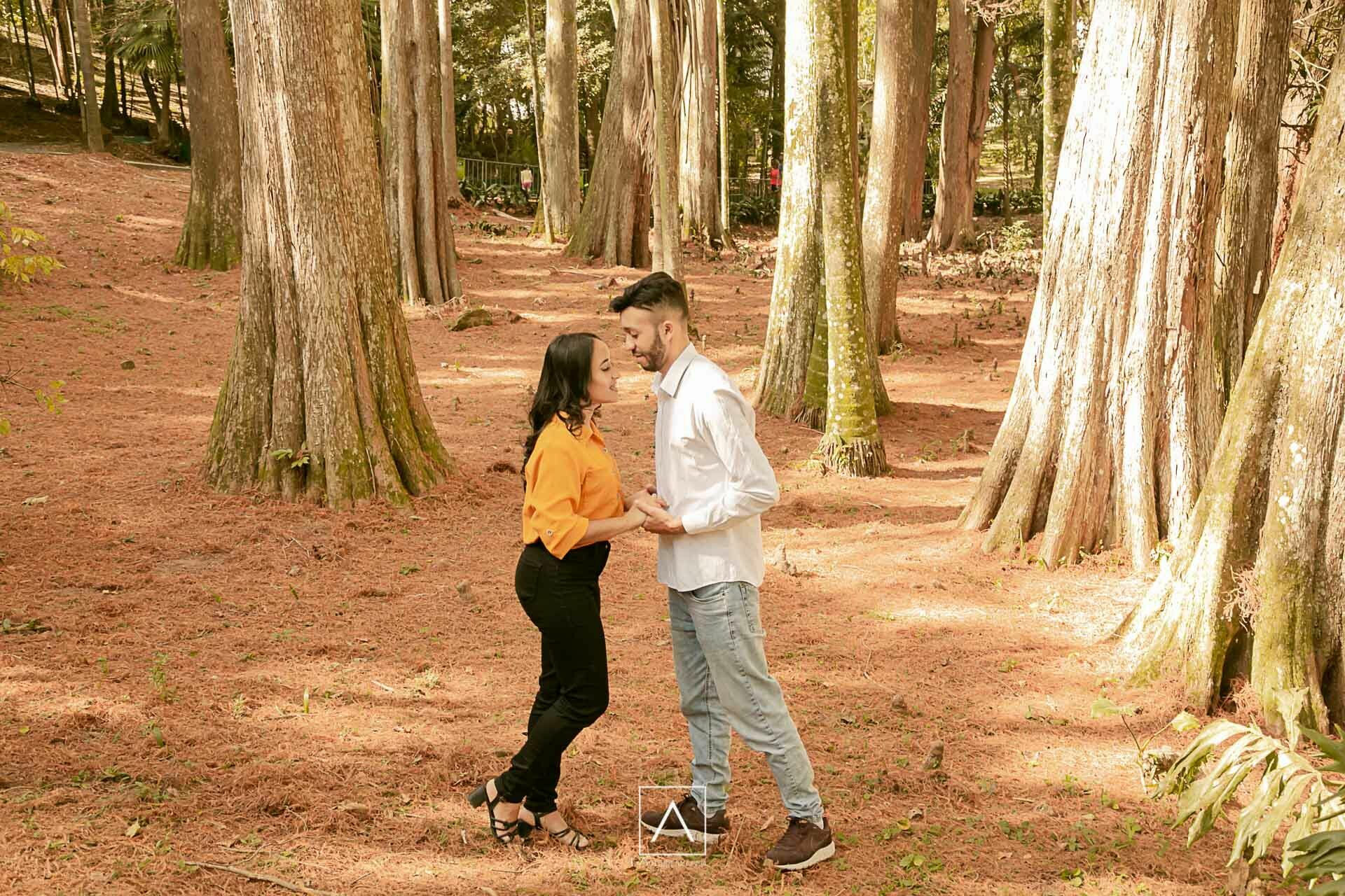 Foto Ensaio pré wedding Maiara e Cesar - Imagem 3