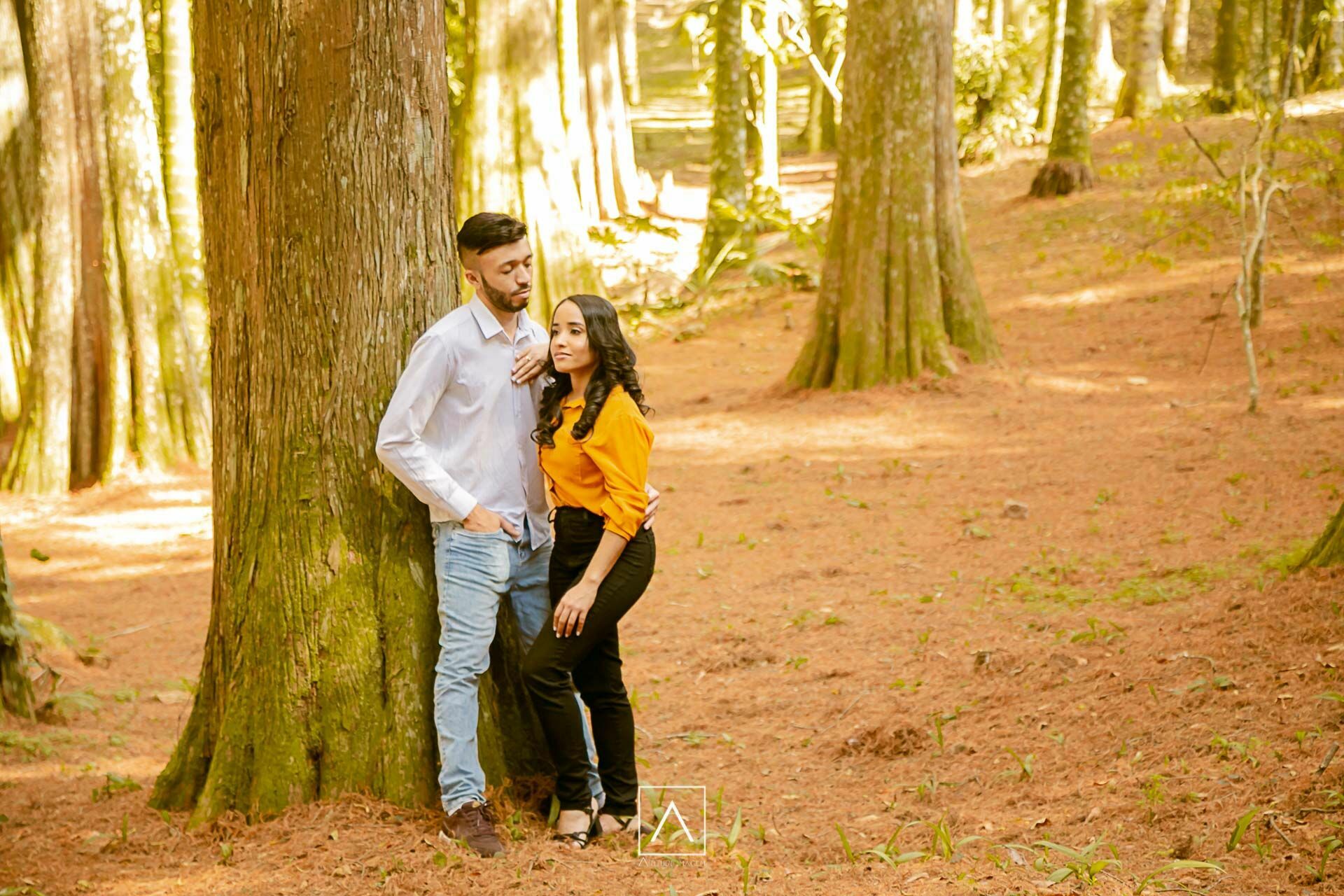 Foto Ensaio pré wedding Maiara e Cesar - Imagem 24